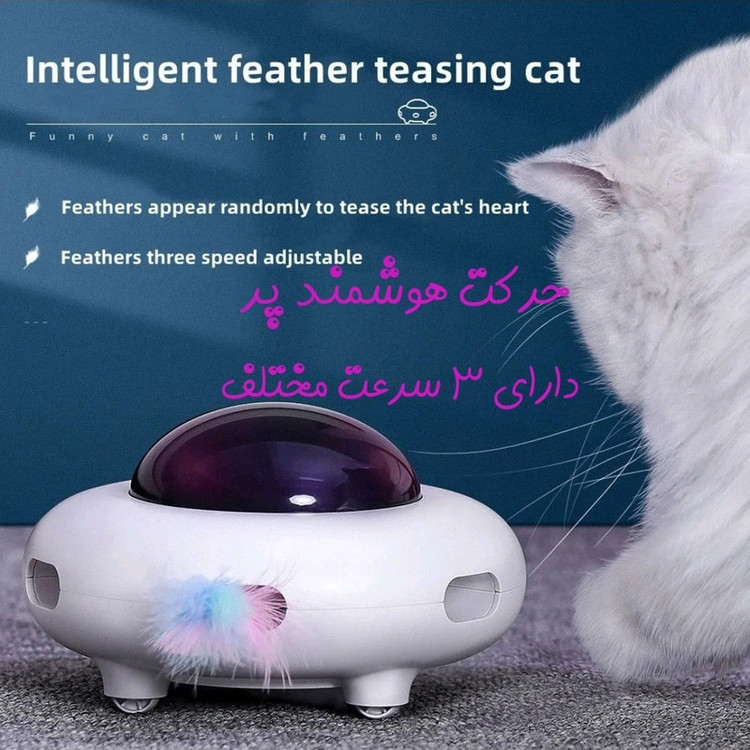 اسباب بازی تعاملی گربه